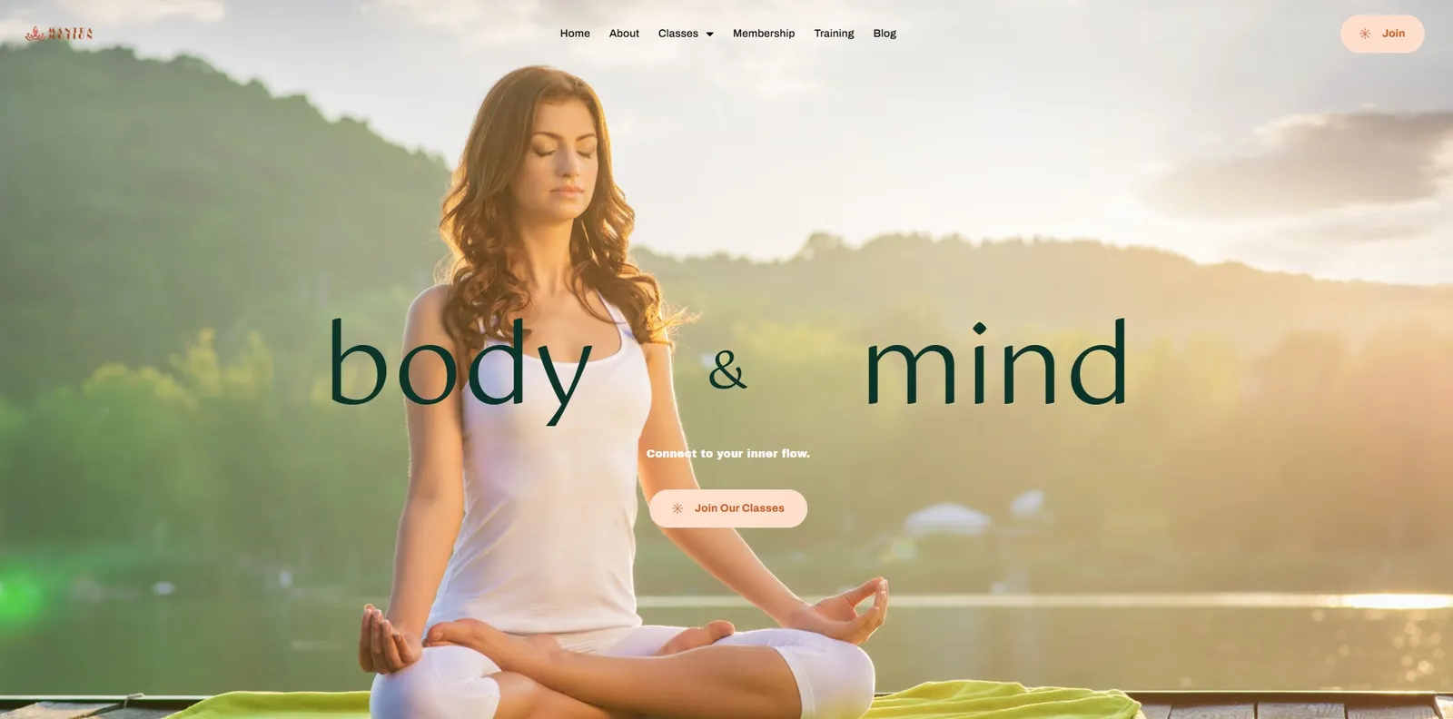 Business Website Builds interface